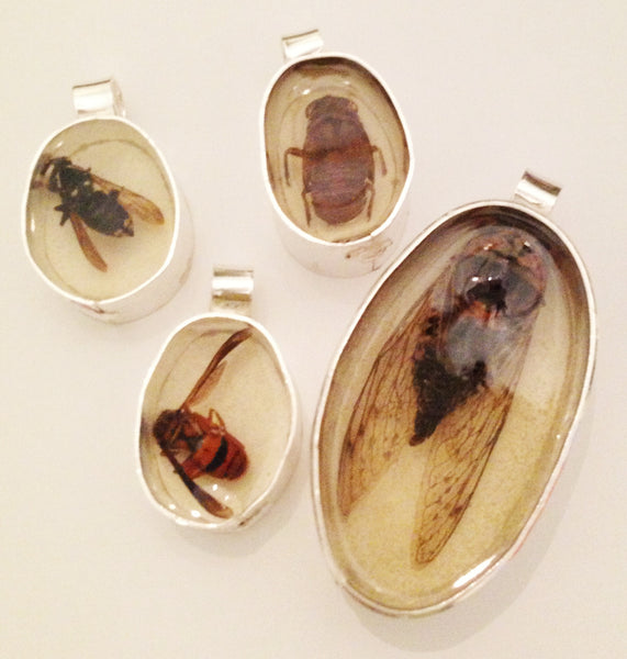 The Encapsulated Collection